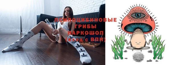 PSILOCYBIN Алзамай