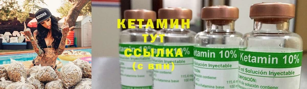 PSILOCYBIN Алзамай