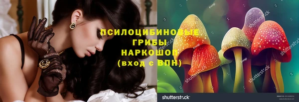 PSILOCYBIN Алзамай
