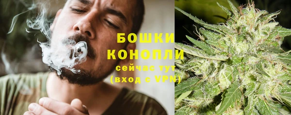 PSILOCYBIN Алзамай