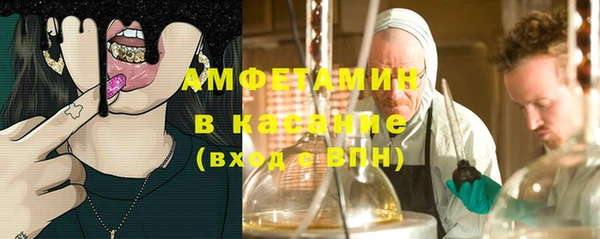 PSILOCYBIN Алзамай