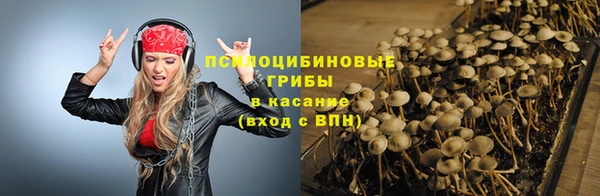 ECSTASY Алексеевка