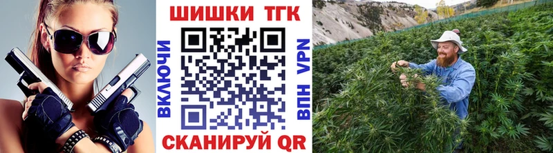 Марихуана сатива  Межгорье 